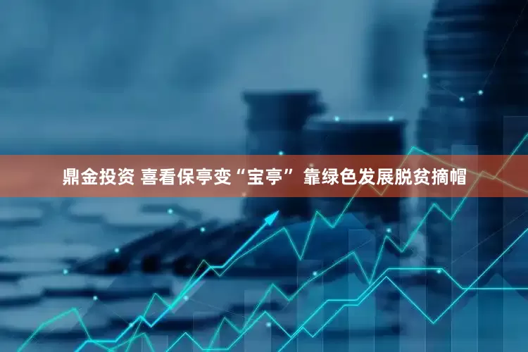 鼎金投资 喜看保亭变“宝亭” 靠绿色发展脱贫摘帽