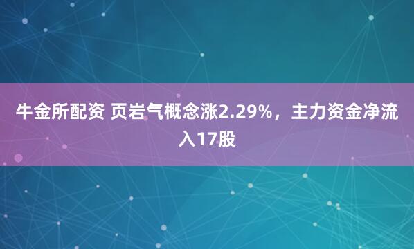 牛金所配资 页岩气概念涨2.29%，主力资金净流入17股
